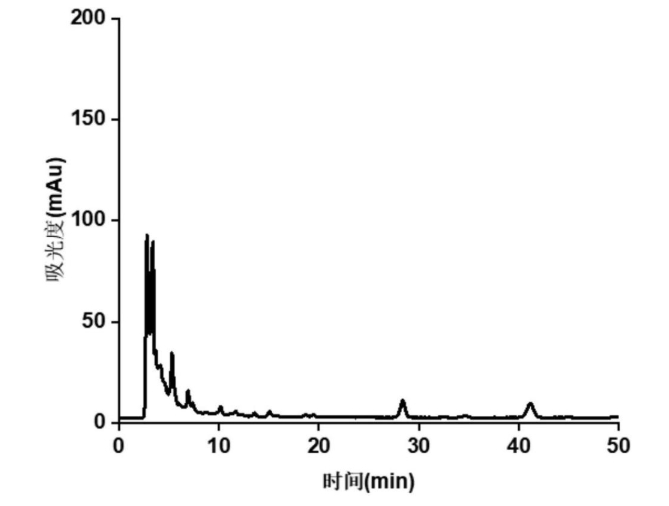 一种细胞膜壳聚糖四氧化三铁微球及制备方法及应用
